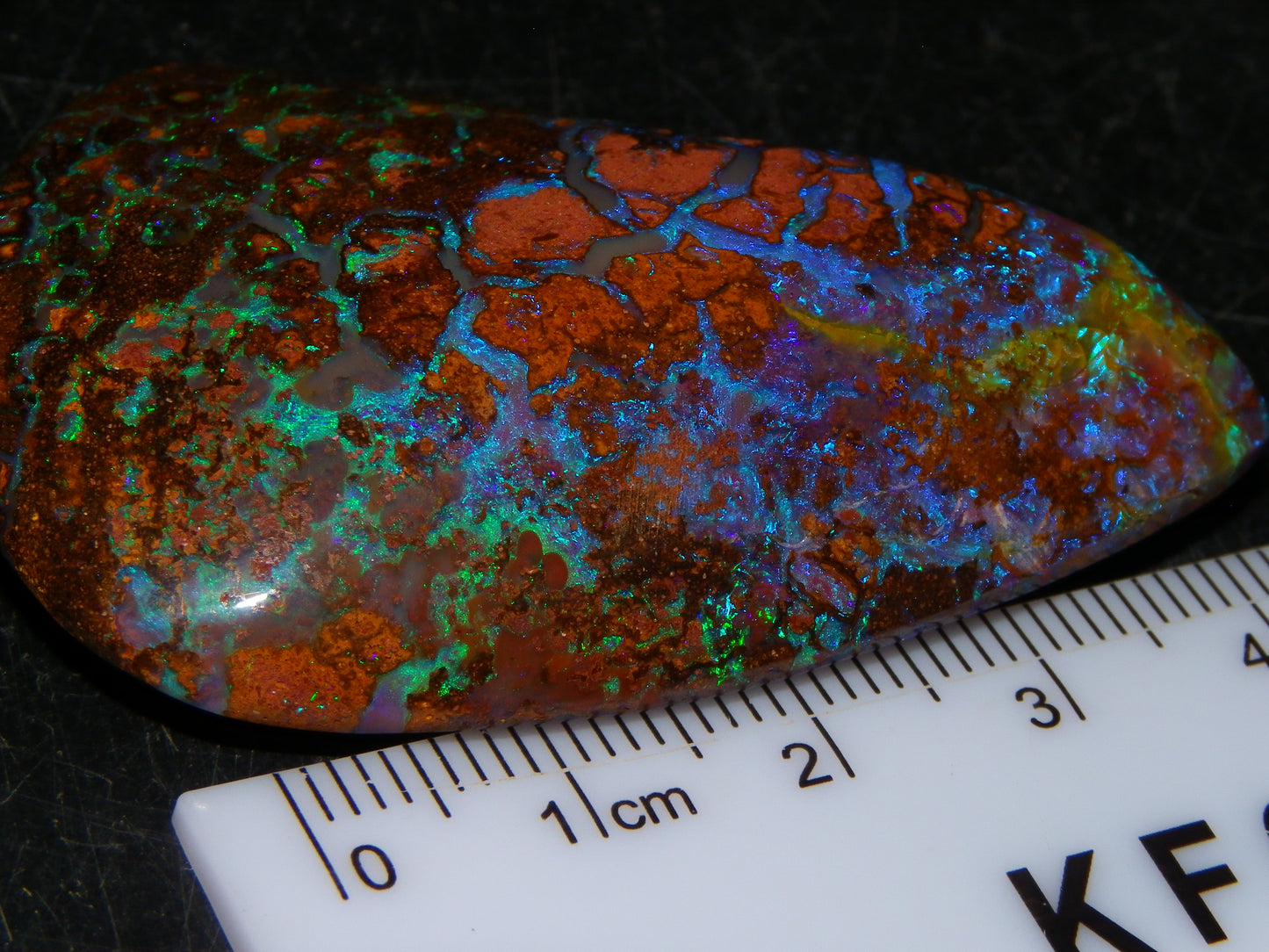 Large Koroit Opal Freeform/Cab 116.3cts Blue/Purple/Green Fires/Veins Queensland Australia