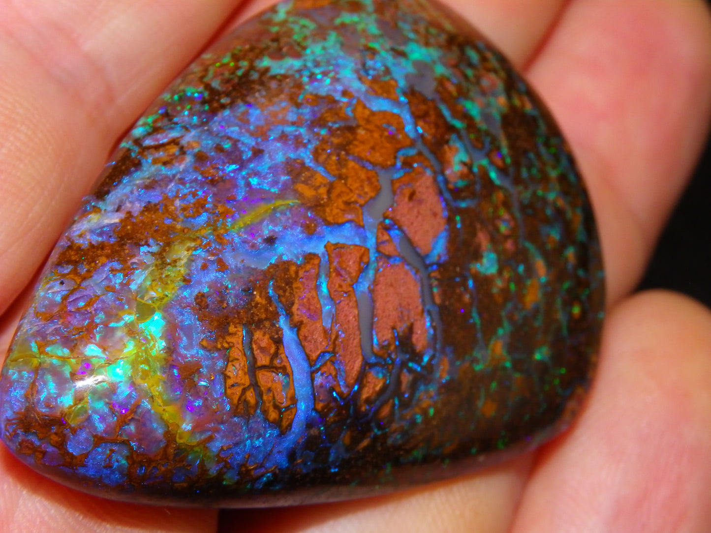 Large Koroit Opal Freeform/Cab 116.3cts Blue/Purple/Green Fires/Veins Queensland Australia