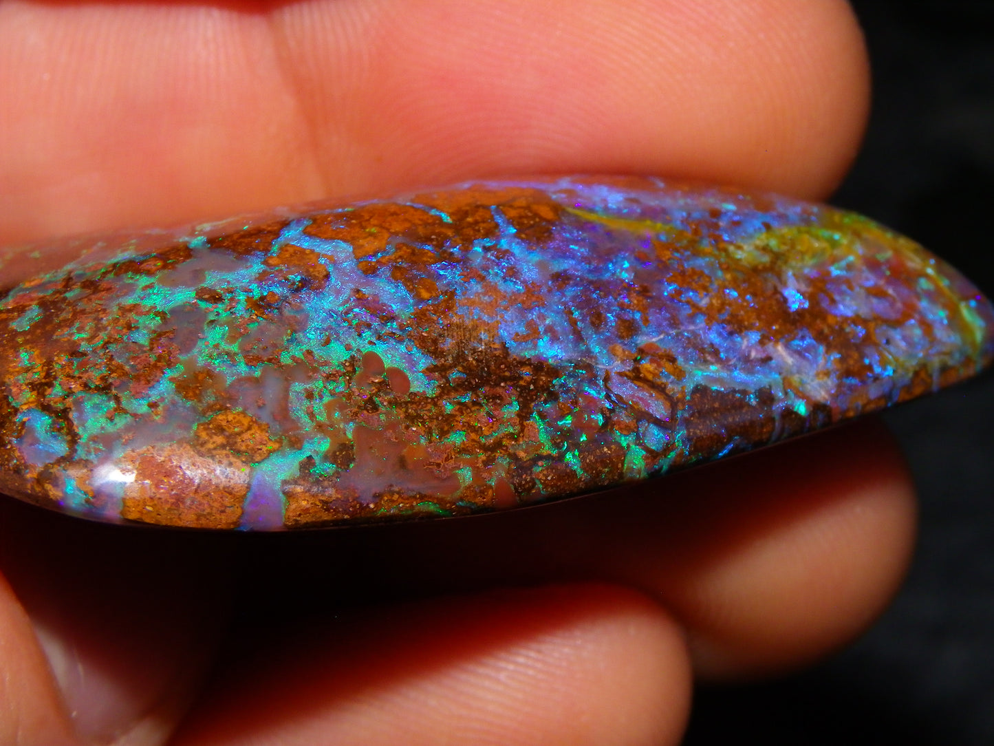 Large Koroit Opal Freeform/Cab 116.3cts Blue/Purple/Green Fires/Veins Queensland Australia