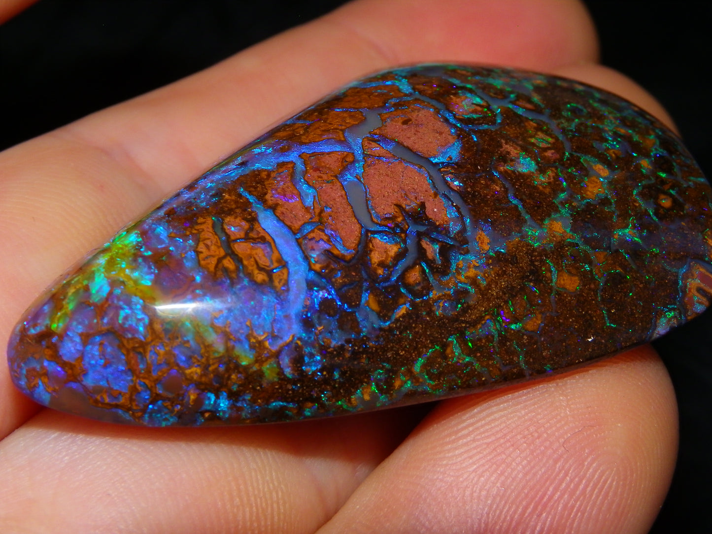 Large Koroit Opal Freeform/Cab 116.3cts Blue/Purple/Green Fires/Veins Queensland Australia