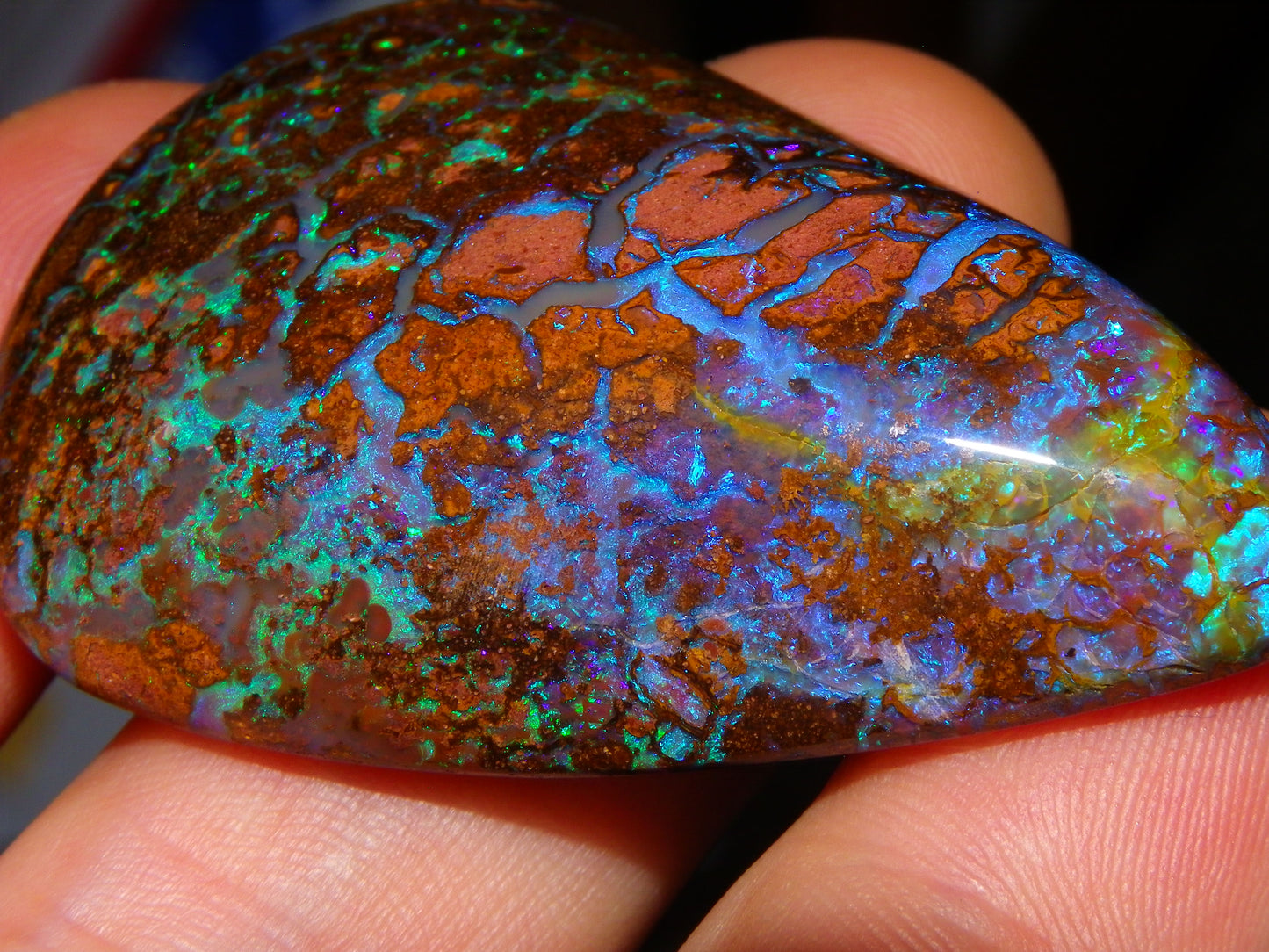 Large Koroit Opal Freeform/Cab 116.3cts Blue/Purple/Green Fires/Veins Queensland Australia