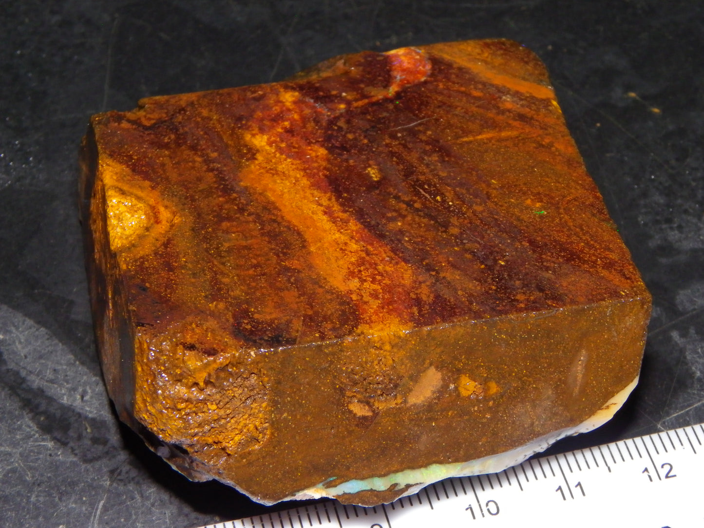 Nice Queensland Boulder Opal Rough Specimen 811cts Fires/Patterns Caramel Potch Winton