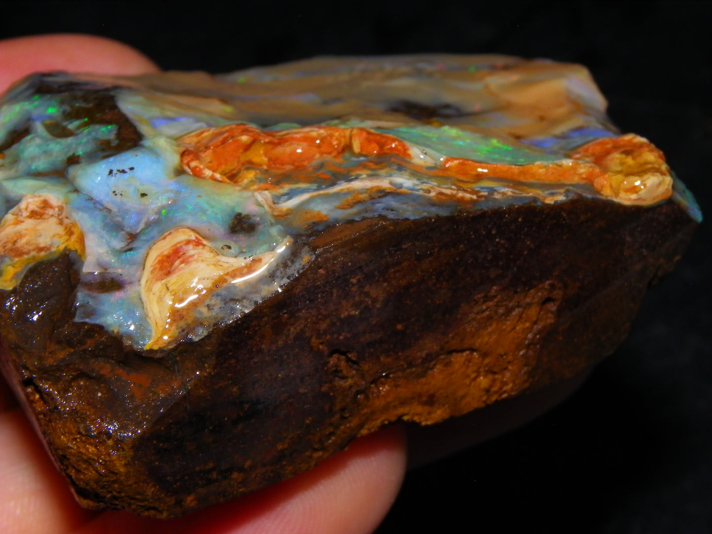 Nice Queensland Boulder Opal Rough Specimen 811cts Fires/Patterns Caramel Potch Winton