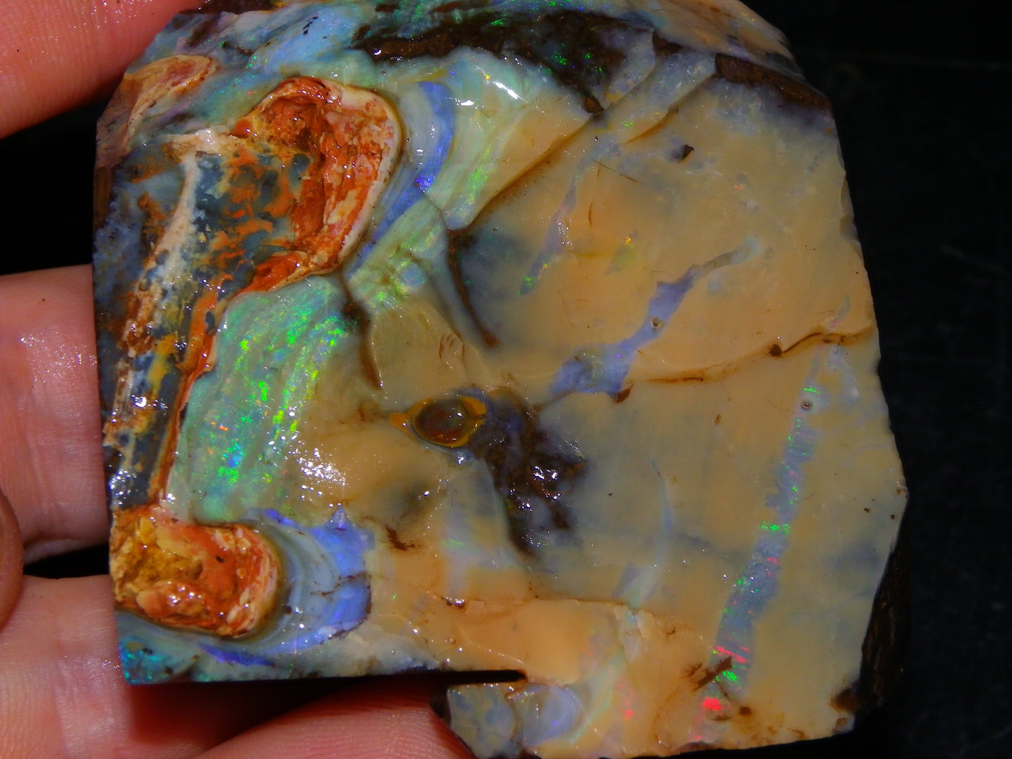 Nice Queensland Boulder Opal Rough Specimen 811cts Fires/Patterns Caramel Potch Winton