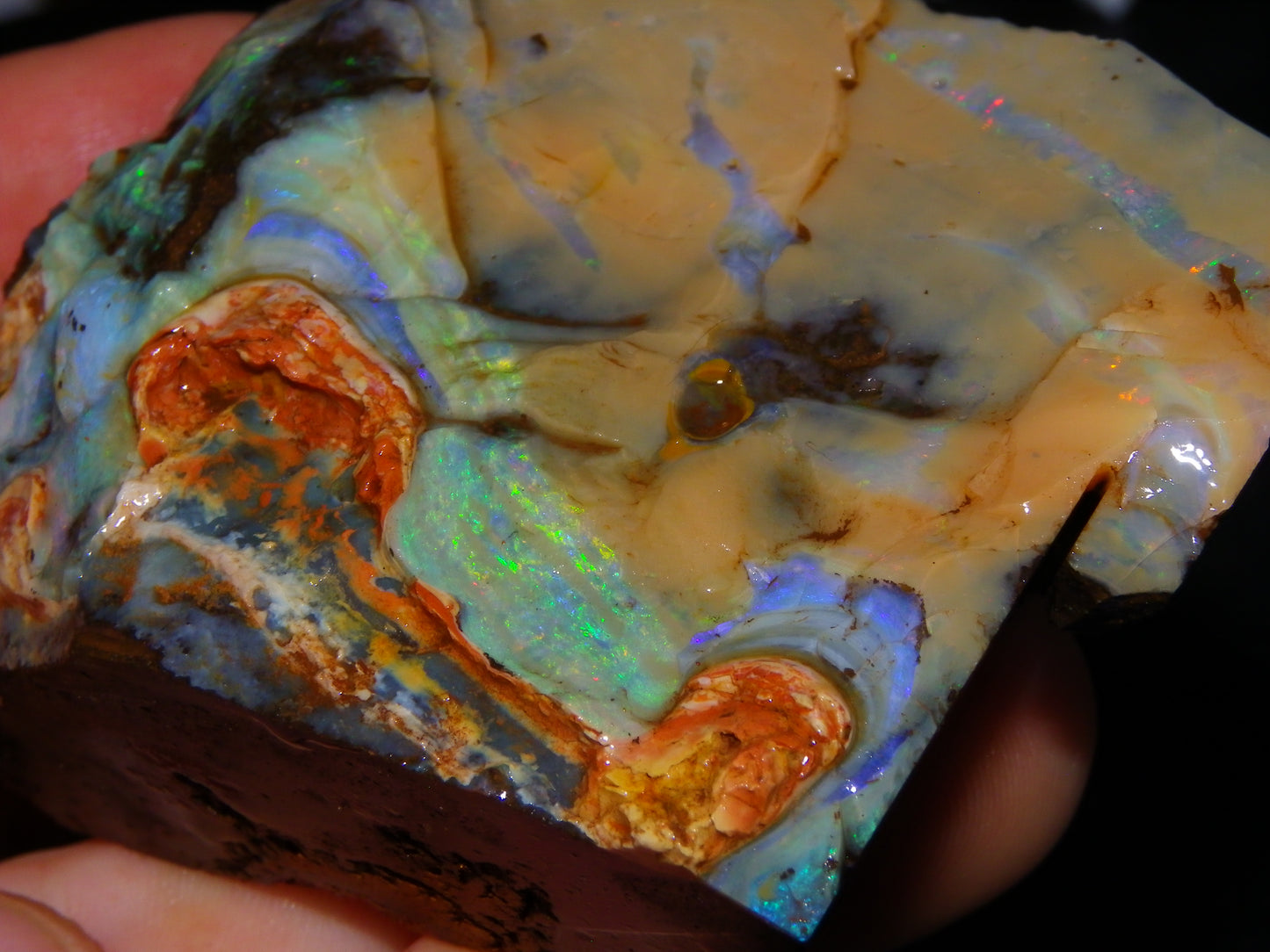 Nice Queensland Boulder Opal Rough Specimen 811cts Fires/Patterns Caramel Potch Winton