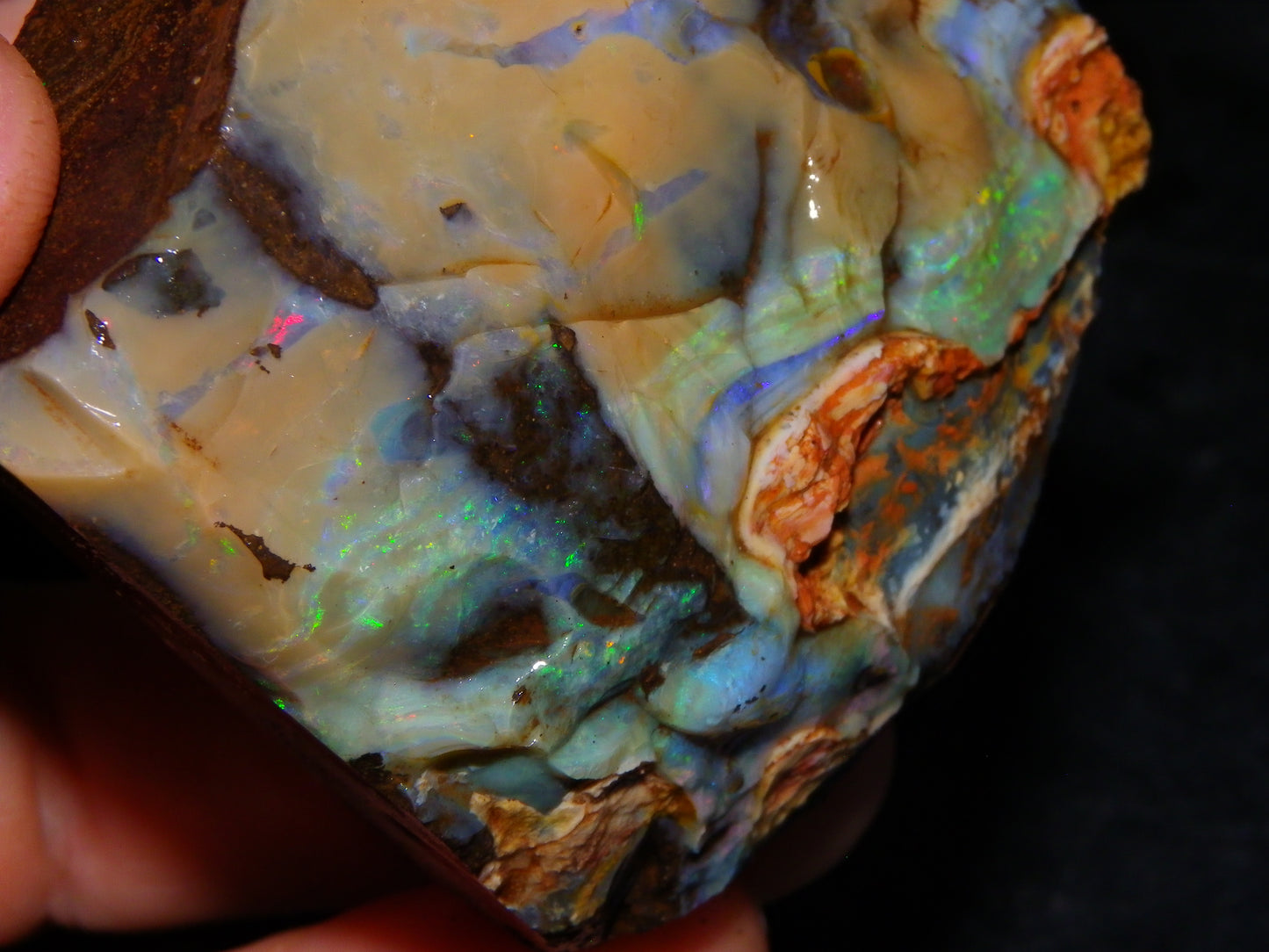 Nice Queensland Boulder Opal Rough Specimen 811cts Fires/Patterns Caramel Potch Winton