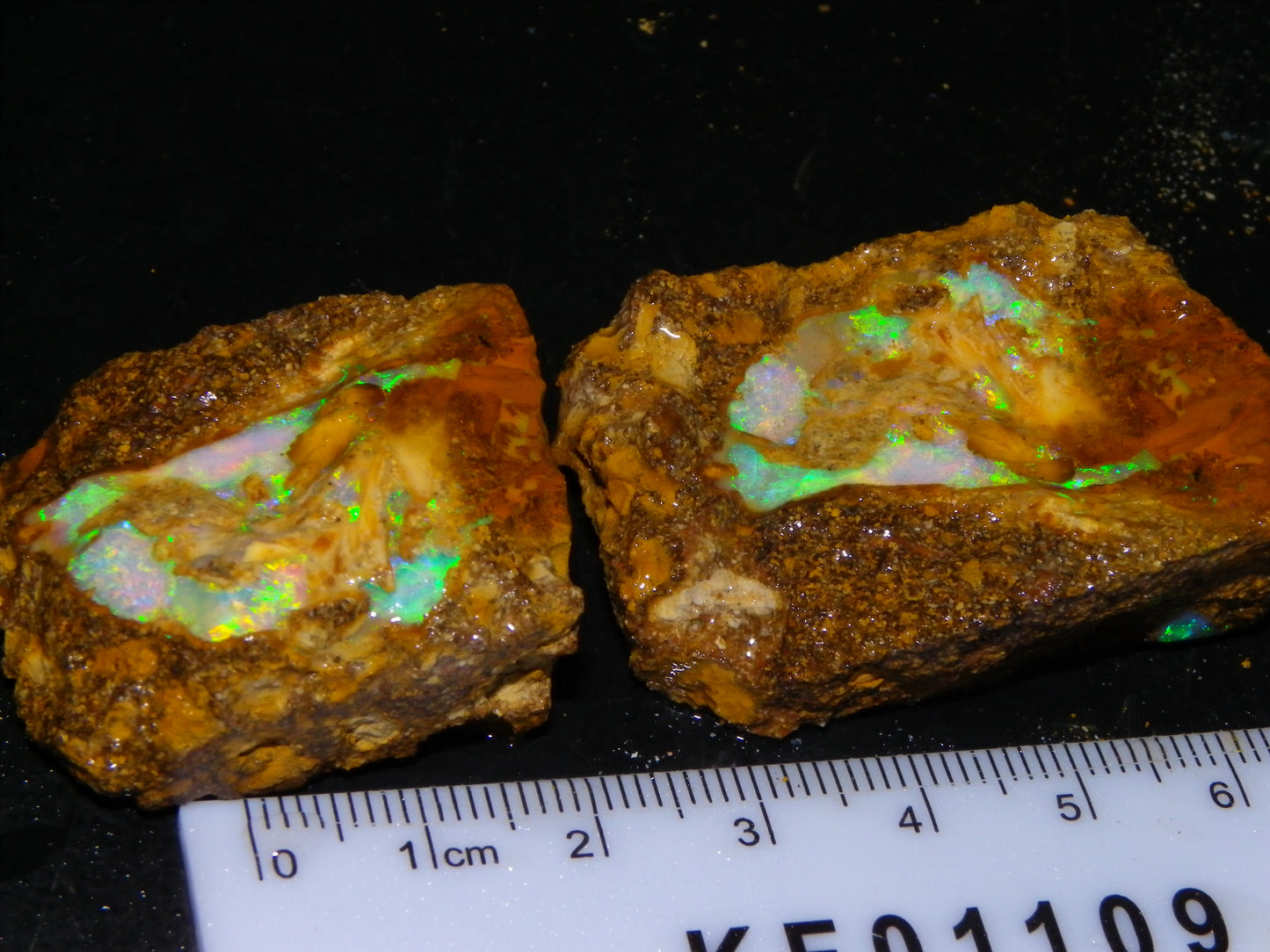 Nice Rough Pipe/Boulder Fossil Opal split 233cts Green/Blue/Pink/Gold Fires