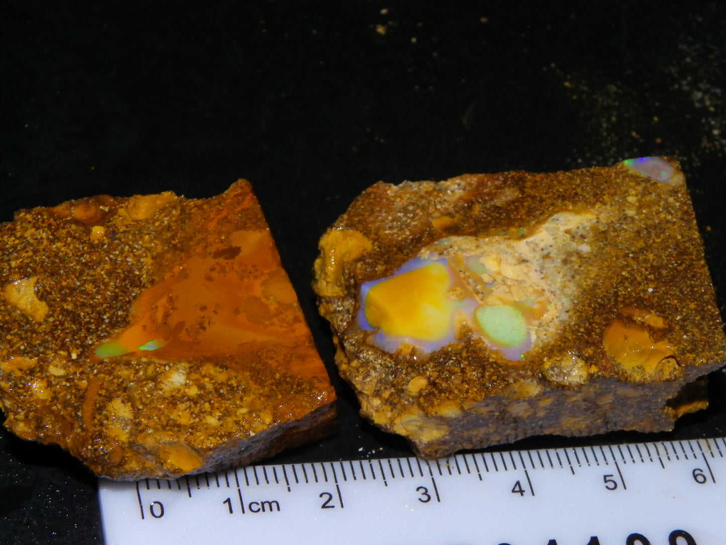 Nice Rough Pipe/Boulder Fossil Opal split 233cts Green/Blue/Pink/Gold Fires