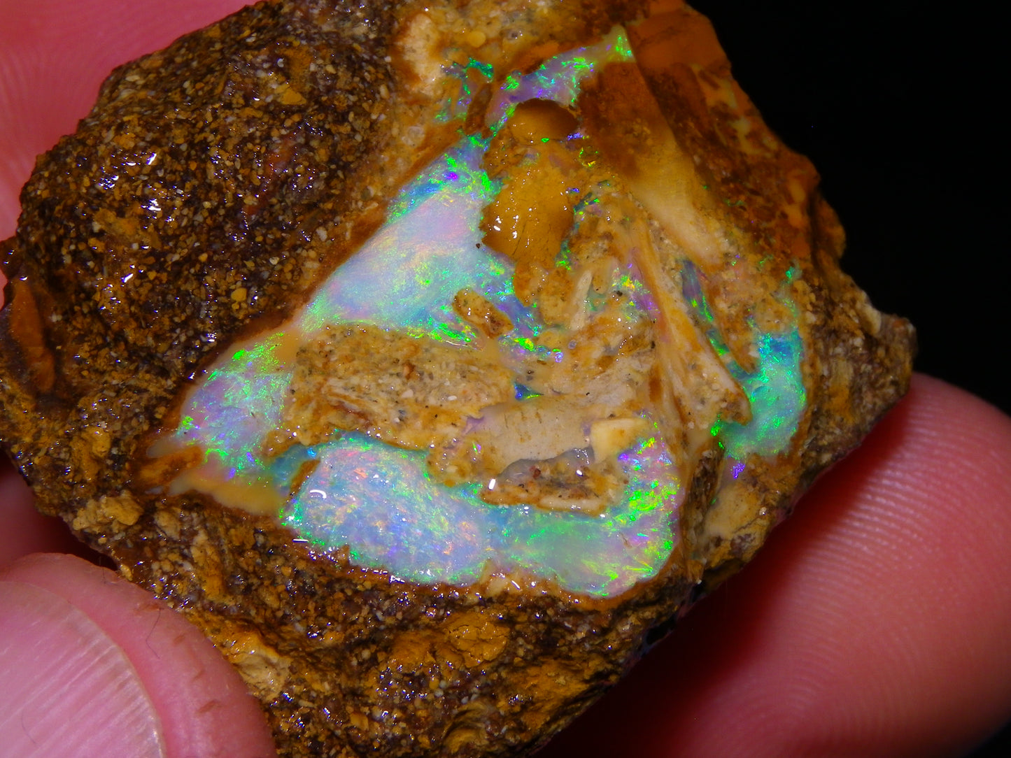 Nice Rough Pipe/Boulder Fossil Opal split 233cts Green/Blue/Pink/Gold Fires