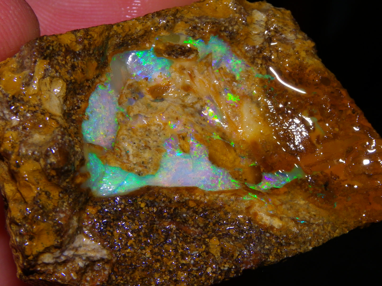 Nice Rough Pipe/Boulder Fossil Opal split 233cts Green/Blue/Pink/Gold Fires