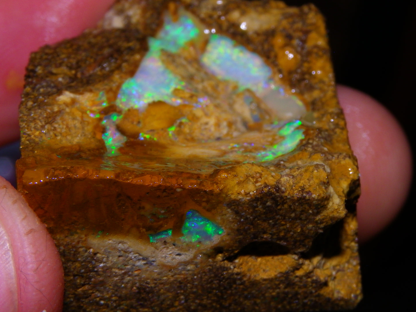 Nice Rough Pipe/Boulder Fossil Opal split 233cts Green/Blue/Pink/Gold Fires