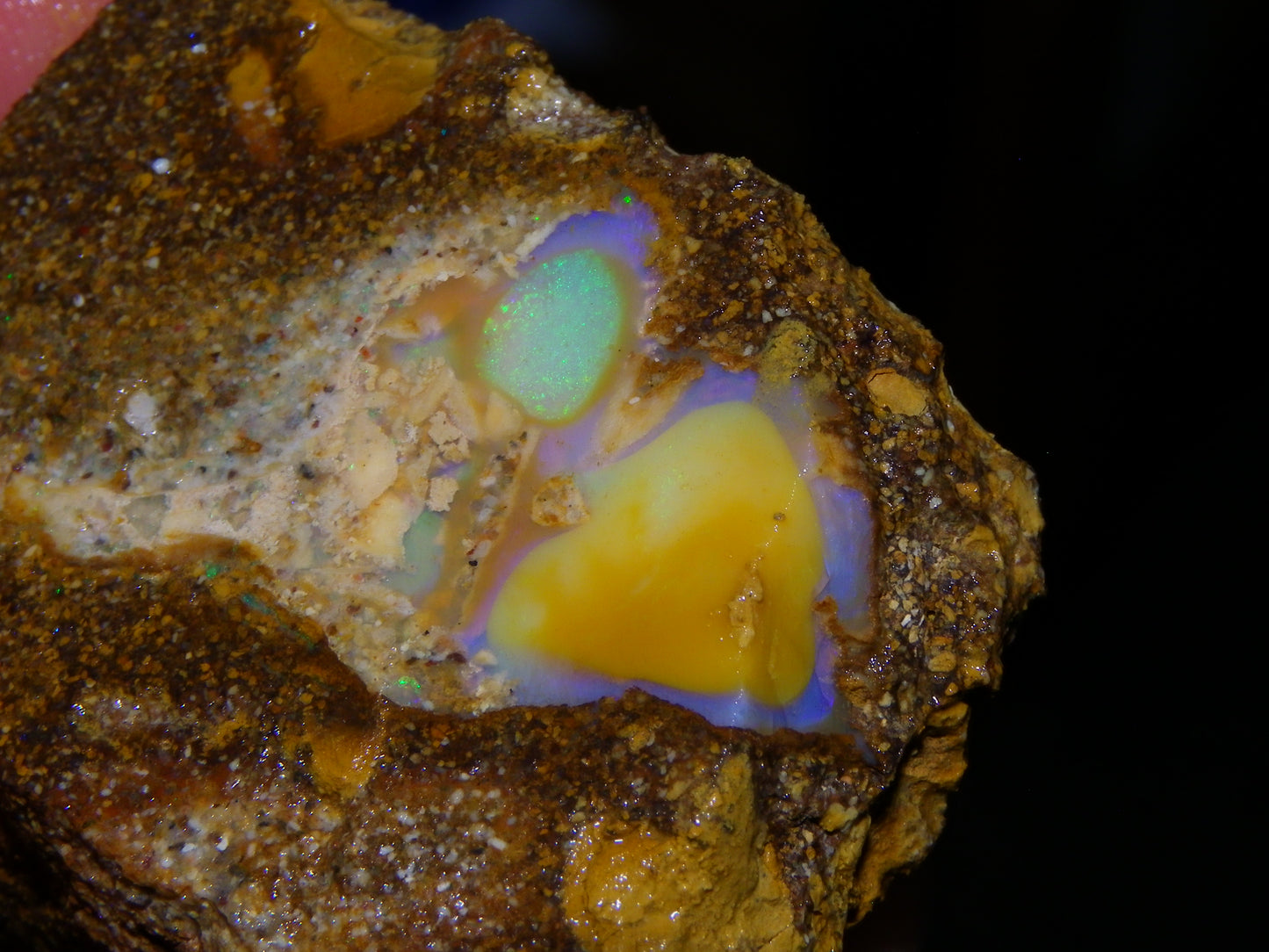 Nice Rough Pipe/Boulder Fossil Opal split 233cts Green/Blue/Pink/Gold Fires