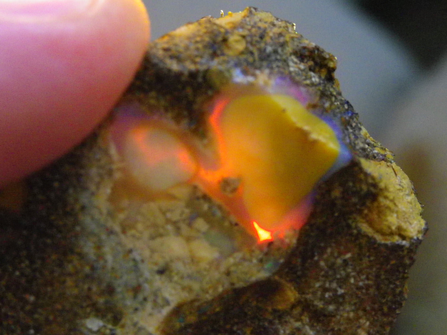 Nice Rough Pipe/Boulder Fossil Opal split 233cts Green/Blue/Pink/Gold Fires
