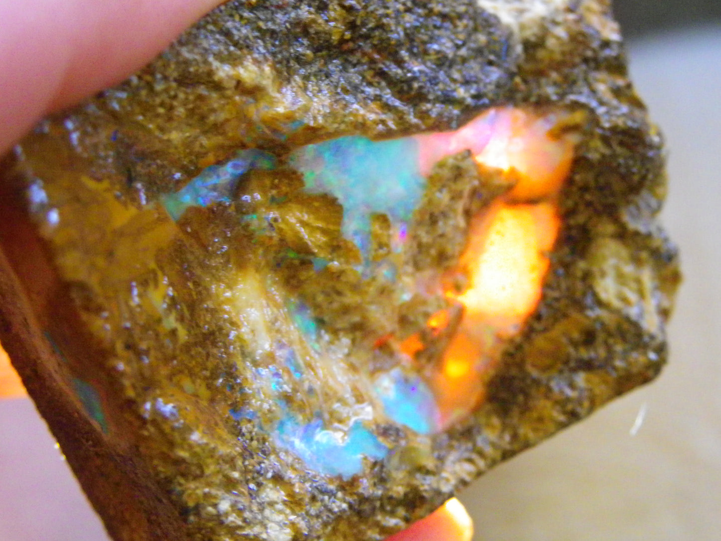 Nice Rough Pipe/Boulder Fossil Opal split 233cts Green/Blue/Pink/Gold Fires