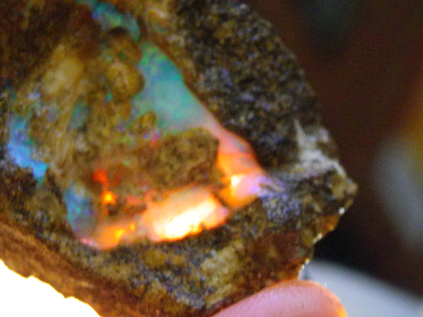 Nice Rough Pipe/Boulder Fossil Opal split 233cts Green/Blue/Pink/Gold Fires