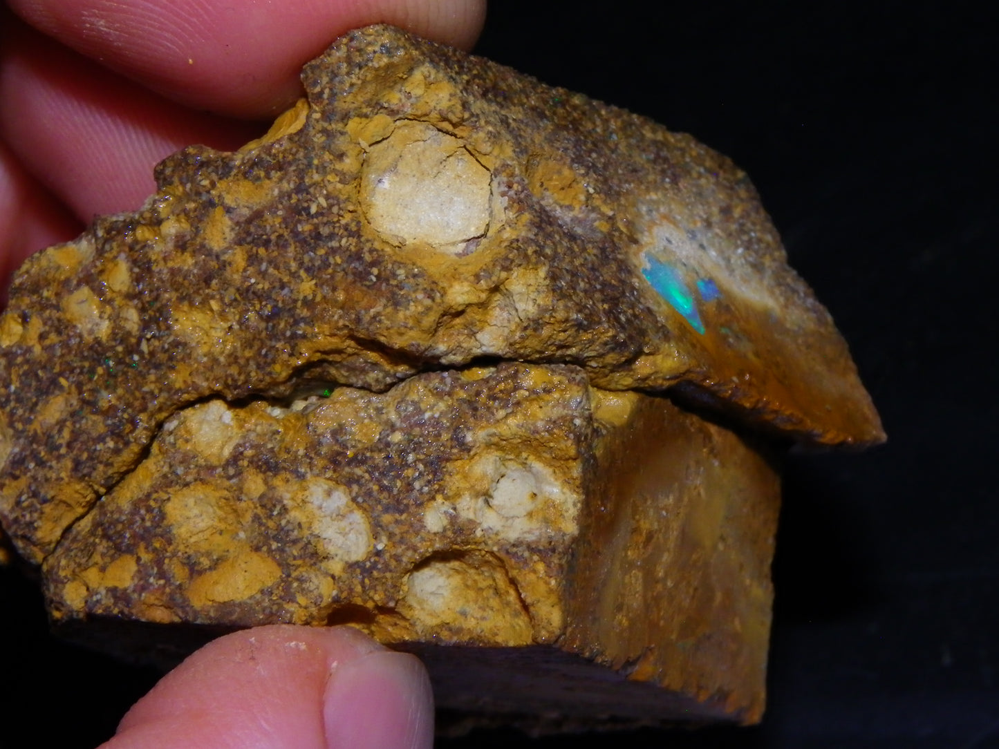 Nice Rough Pipe/Boulder Fossil Opal split 233cts Green/Blue/Pink/Gold Fires