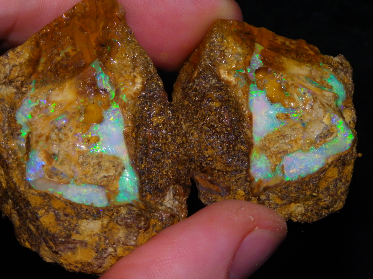Nice Rough Pipe/Boulder Fossil Opal split 233cts Green/Blue/Pink/Gold Fires