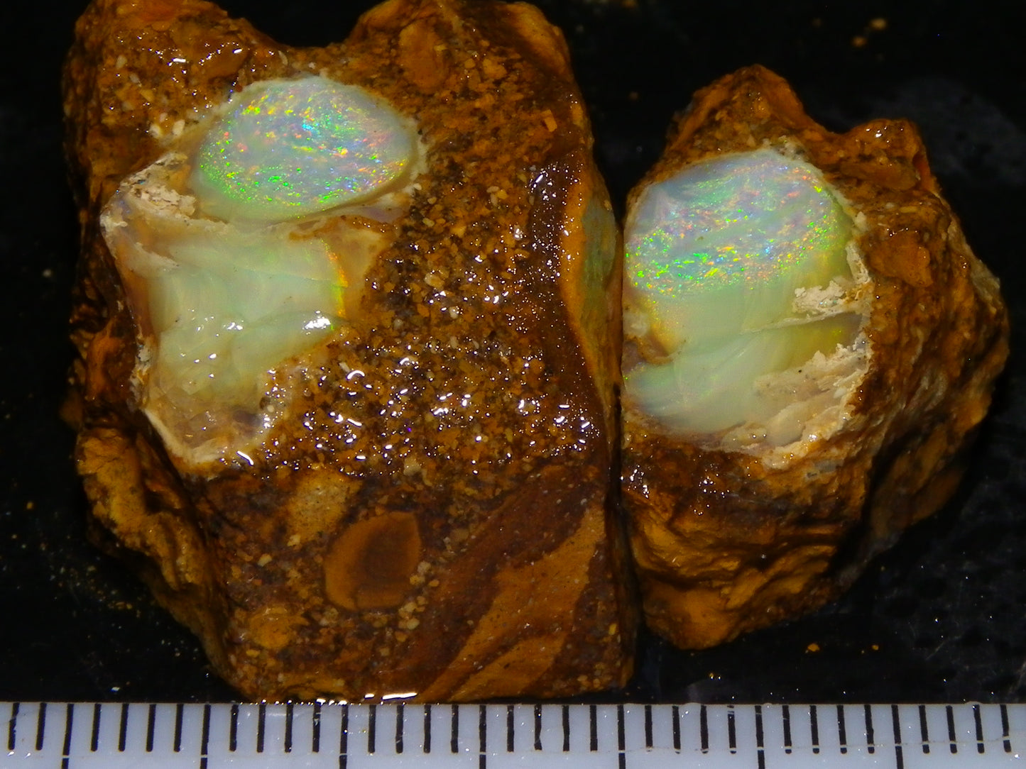 Nice Quality Split Pipe Opal Specimen Pair 92.5cts Queensland Opalton Multicolours