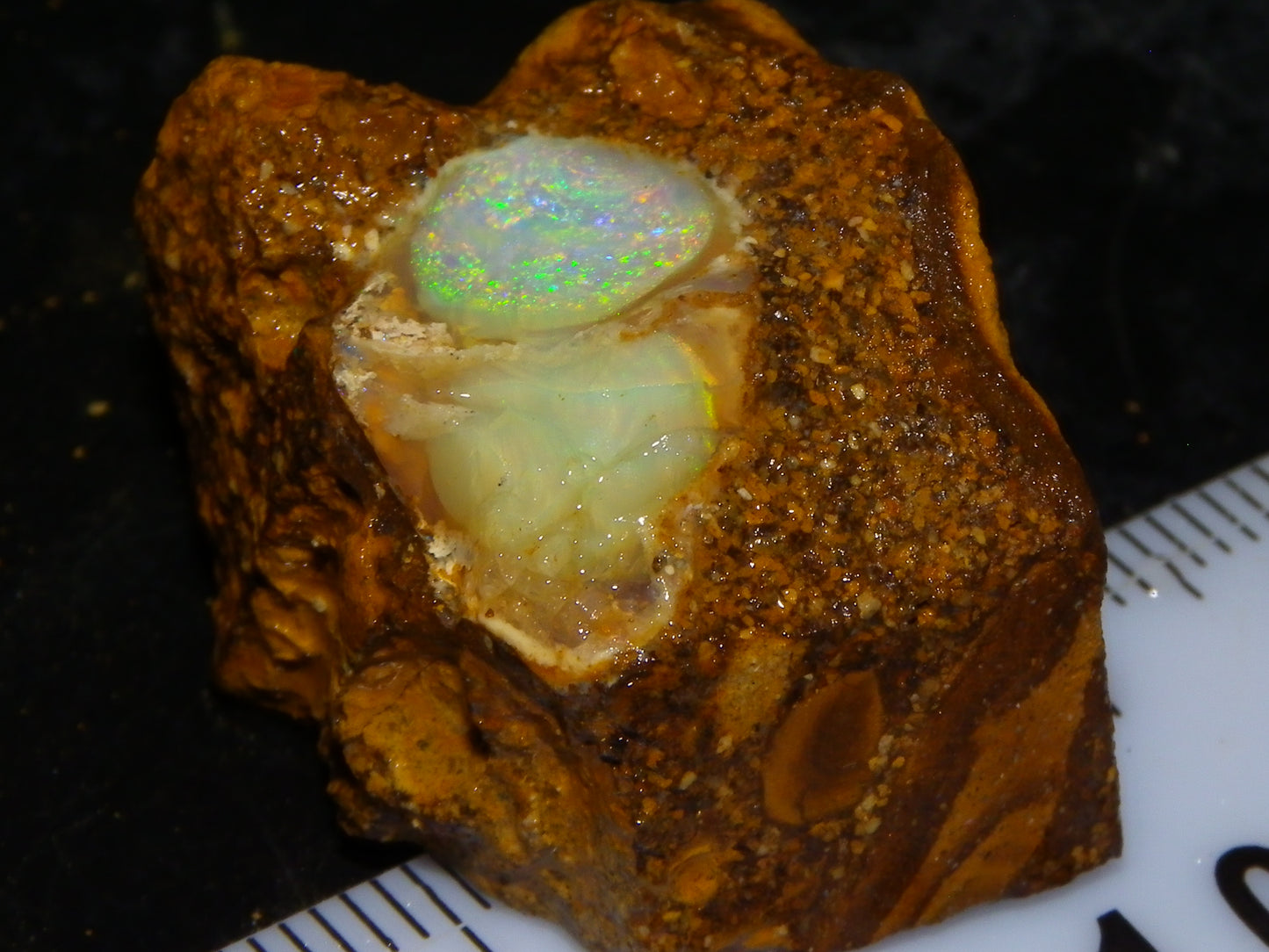 Nice Quality Split Pipe Opal Specimen Pair 92.5cts Queensland Opalton Multicolours