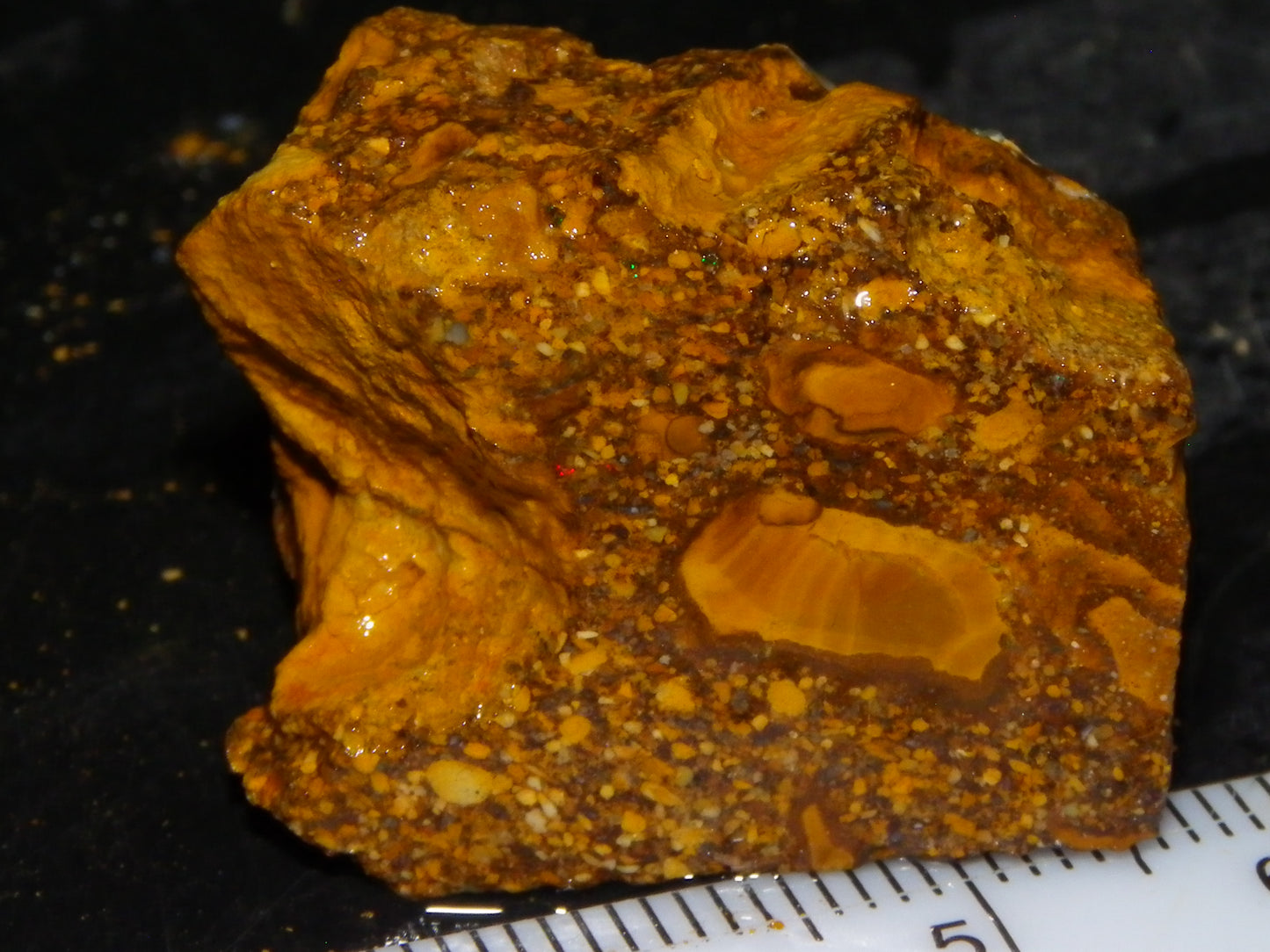 Nice Quality Split Pipe Opal Specimen Pair 92.5cts Queensland Opalton Multicolours