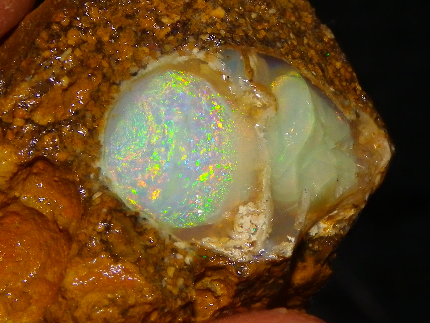 Nice Quality Split Pipe Opal Specimen Pair 92.5cts Queensland Opalton Multicolours