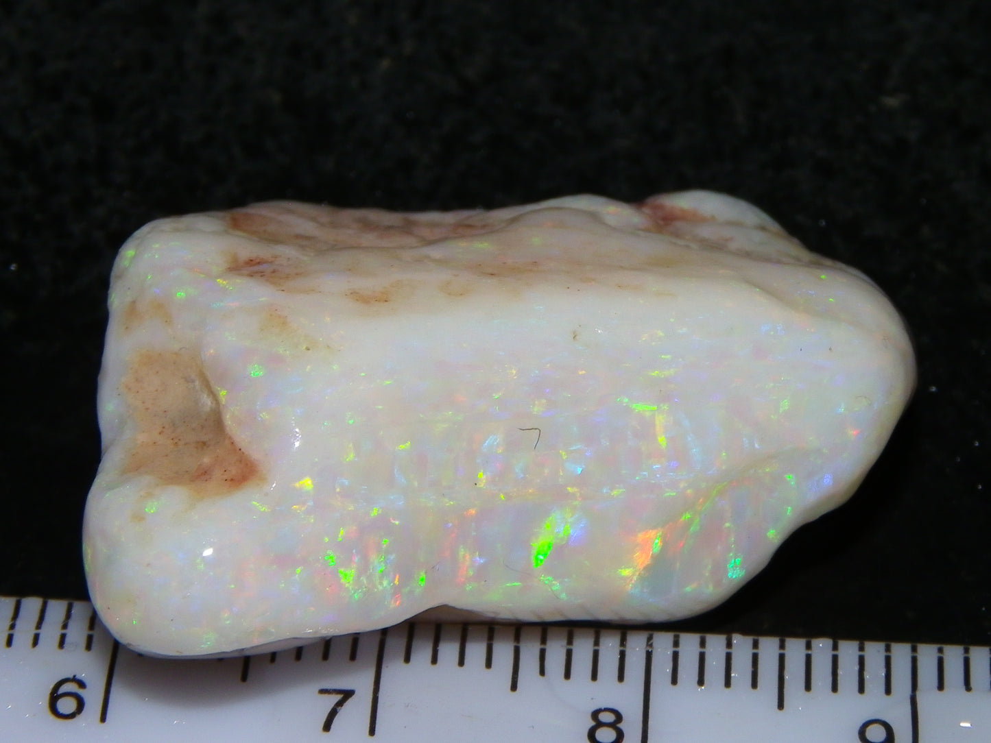 Gem Rough Coober Pedy Opal Stone 55.2cts Multicolour Fires Skin to Skin Collectors
