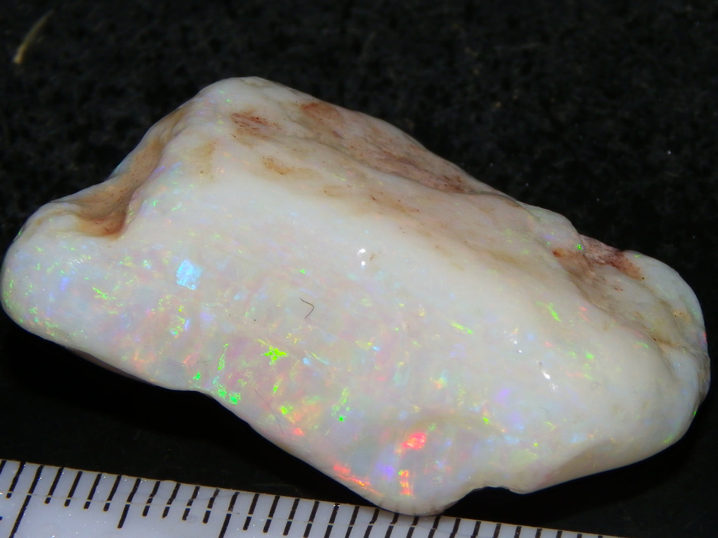 Gem Rough Coober Pedy Opal Stone 55.2cts Multicolour Fires Skin to Skin Collectors