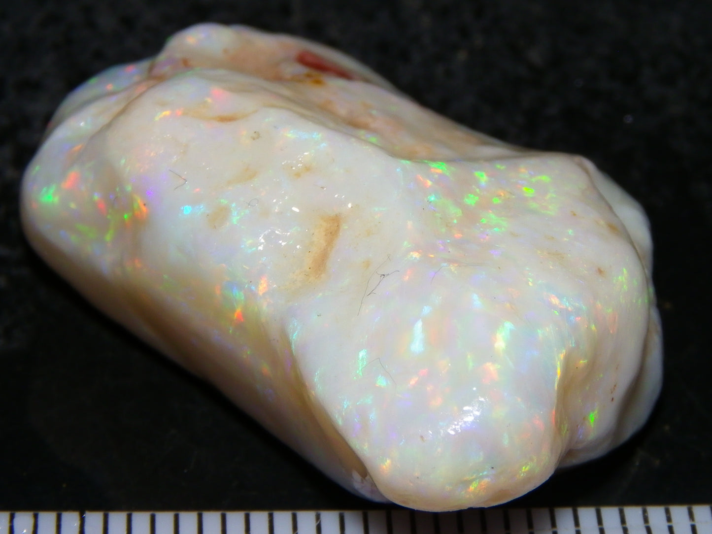 Gem Rough Coober Pedy Opal Stone 55.2cts Multicolour Fires Skin to Skin Collectors