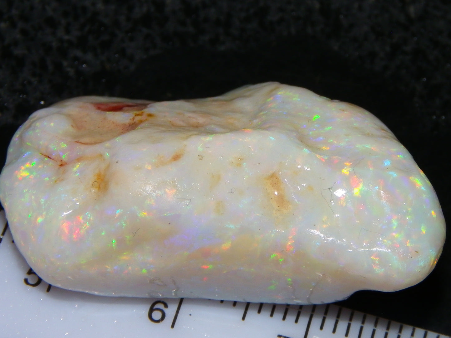 Gem Rough Coober Pedy Opal Stone 55.2cts Multicolour Fires Skin to Skin Collectors