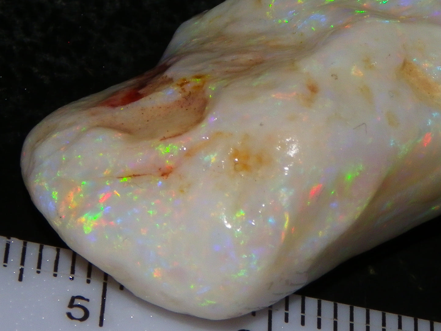 Gem Rough Coober Pedy Opal Stone 55.2cts Multicolour Fires Skin to Skin Collectors