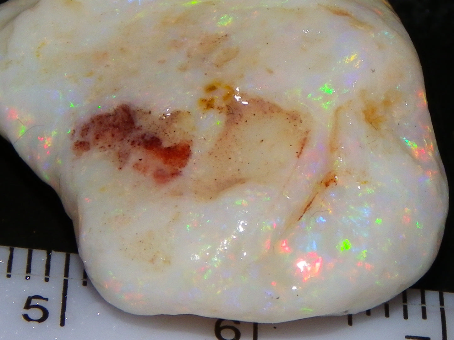 Gem Rough Coober Pedy Opal Stone 55.2cts Multicolour Fires Skin to Skin Collectors