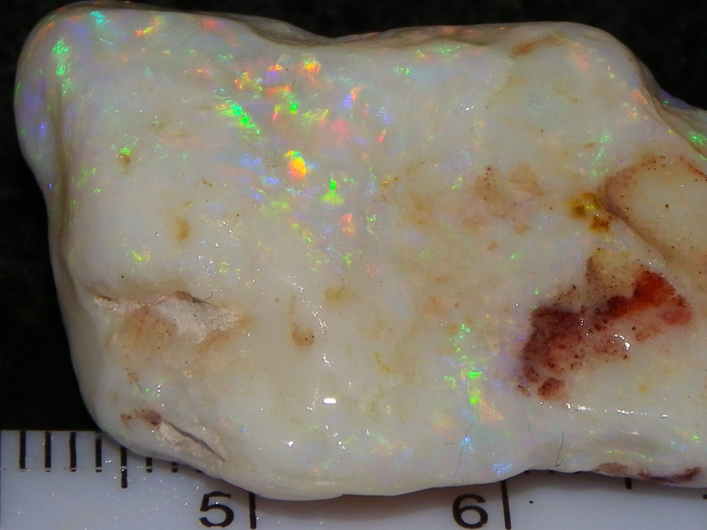 Gem Rough Coober Pedy Opal Stone 55.2cts Multicolour Fires Skin to Skin Collectors