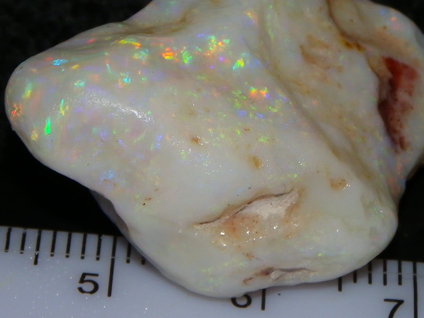 Gem Rough Coober Pedy Opal Stone 55.2cts Multicolour Fires Skin to Skin Collectors