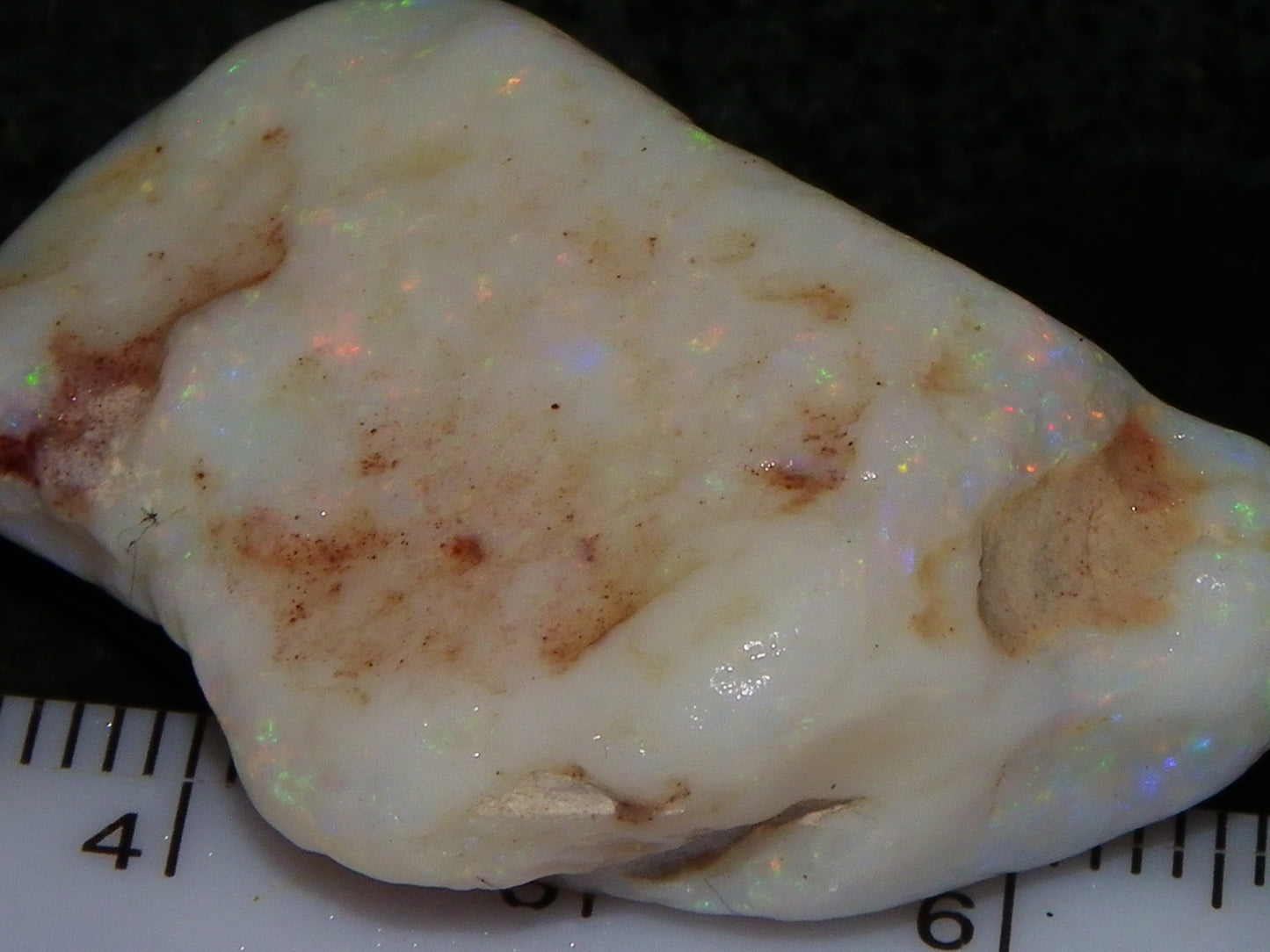 Gem Rough Coober Pedy Opal Stone 55.2cts Multicolour Fires Skin to Skin Collectors