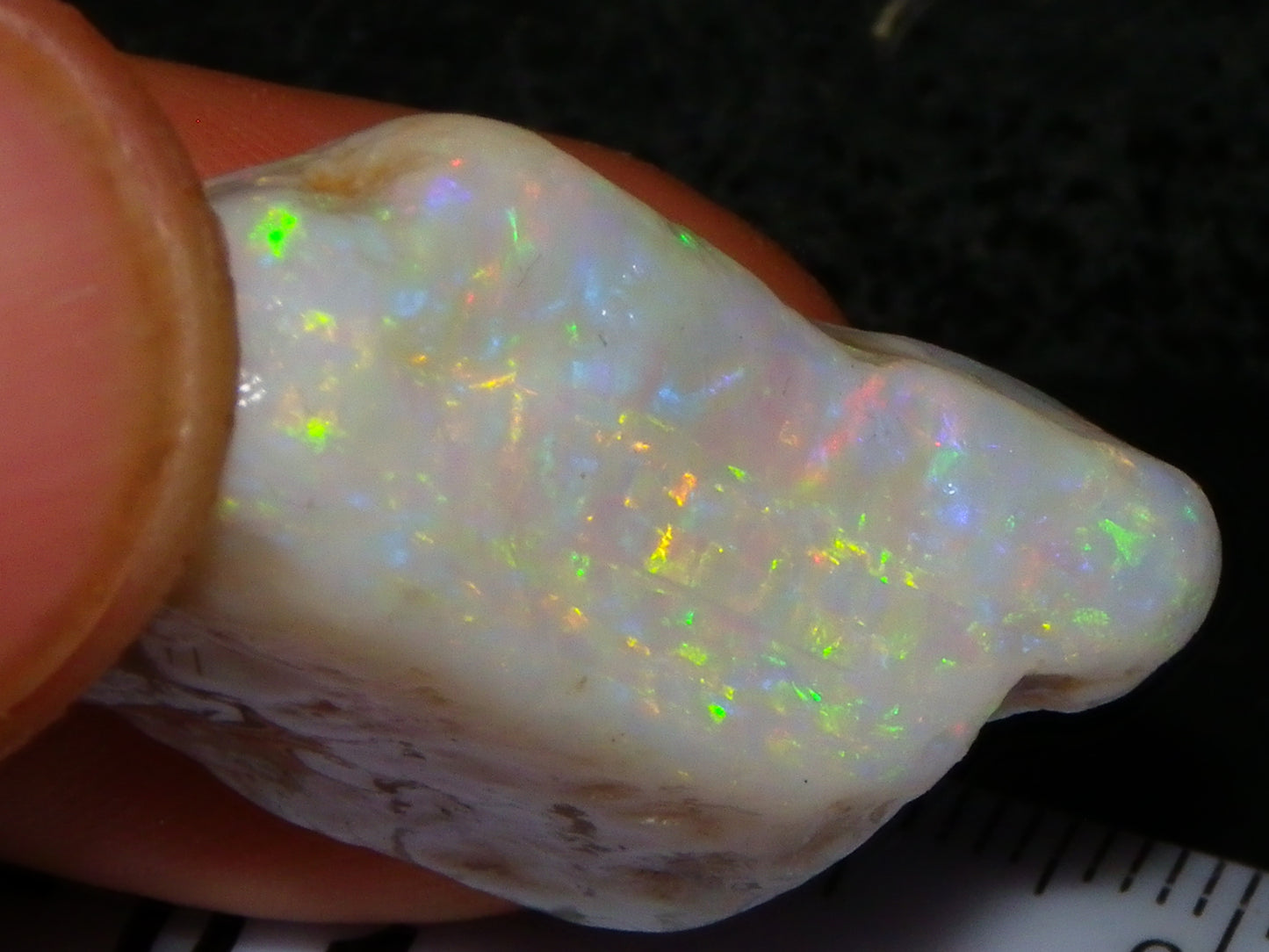 Gem Rough Coober Pedy Opal Stone 55.2cts Multicolour Fires Skin to Skin Collectors