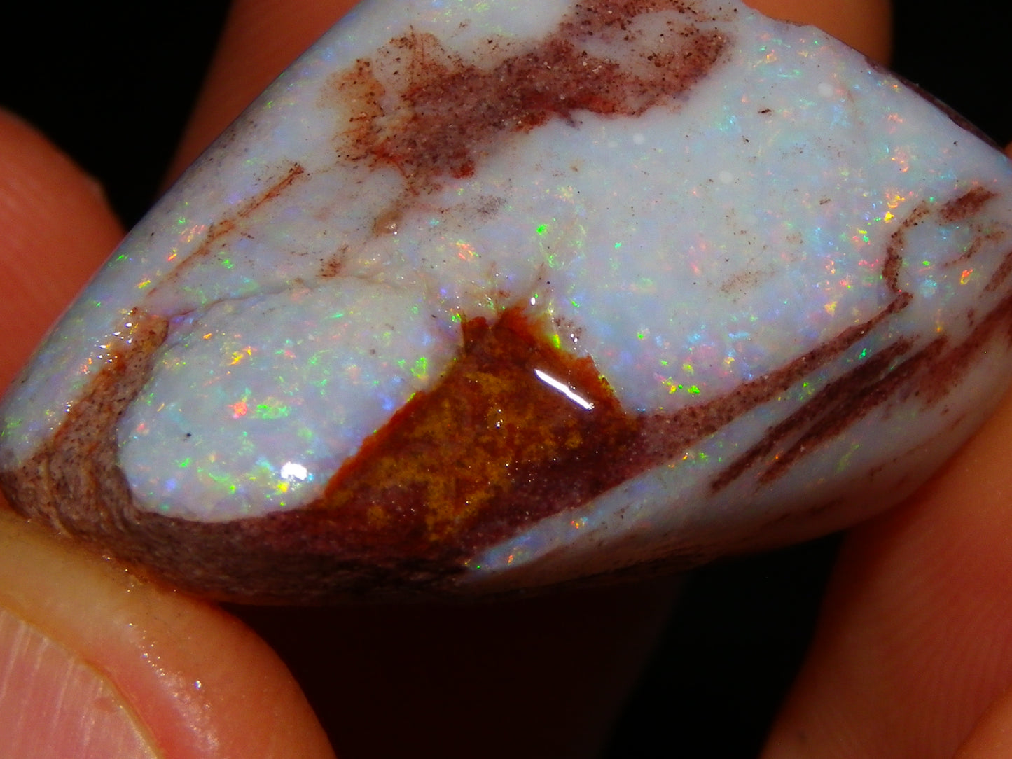 2 Nice Rubbed Coober Pedy Shell Opal Specimens 91cts Multicolour FIres Mussell Shells Australia