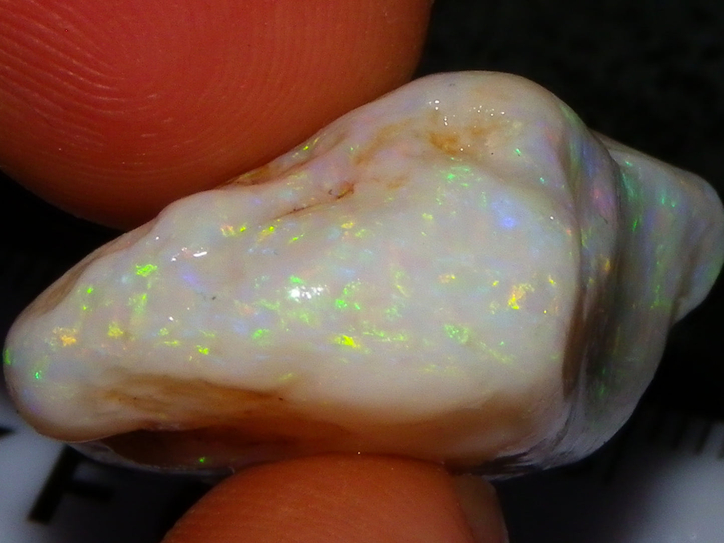 Gem Rough Coober Pedy Opal Stone 55.2cts Multicolour Fires Skin to Skin Collectors