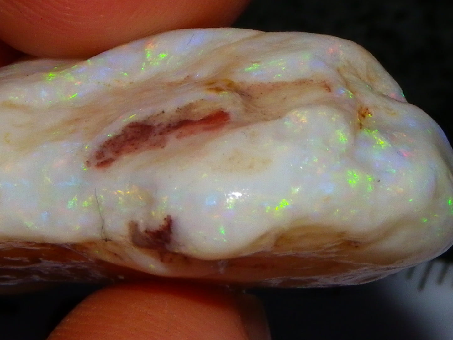 Gem Rough Coober Pedy Opal Stone 55.2cts Multicolour Fires Skin to Skin Collectors