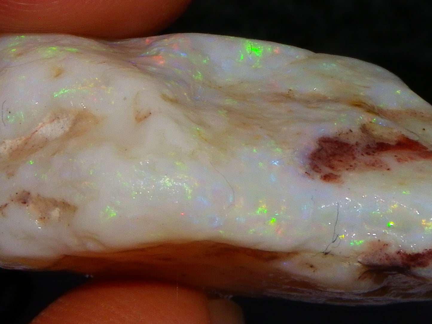 Gem Rough Coober Pedy Opal Stone 55.2cts Multicolour Fires Skin to Skin Collectors
