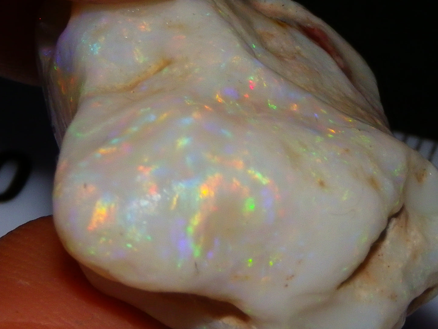 Gem Rough Coober Pedy Opal Stone 55.2cts Multicolour Fires Skin to Skin Collectors