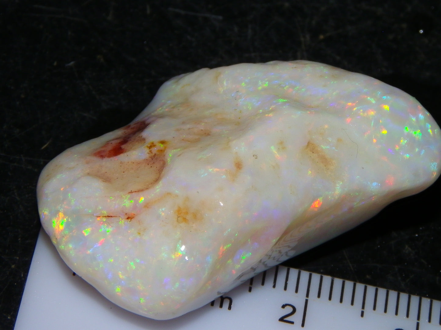 Gem Rough Coober Pedy Opal Stone 55.2cts Multicolour Fires Skin to Skin Collectors