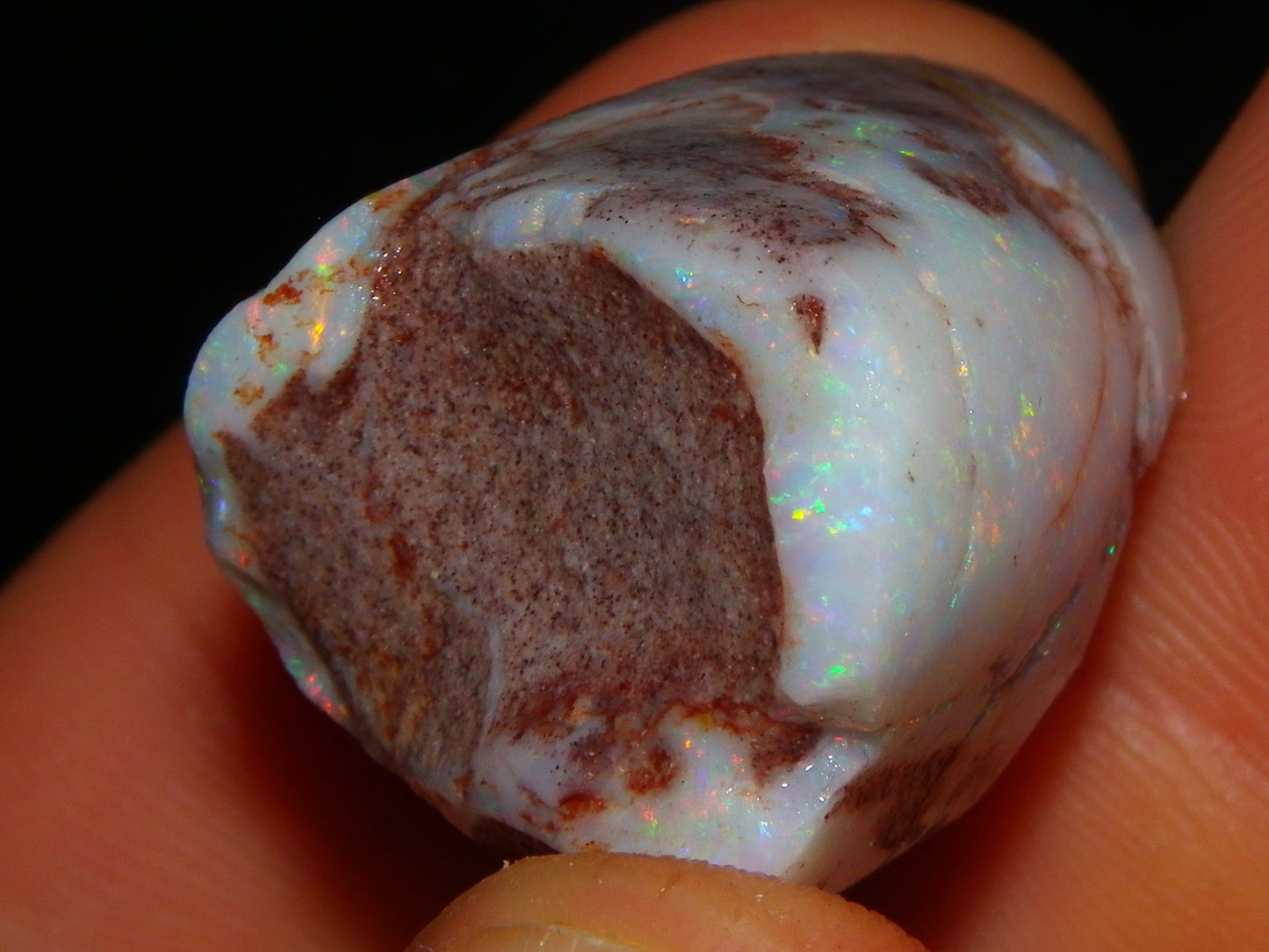 2 Nice Rubbed Coober Pedy Shell Opal Specimens 91cts Multicolour FIres Mussell Shells Australia