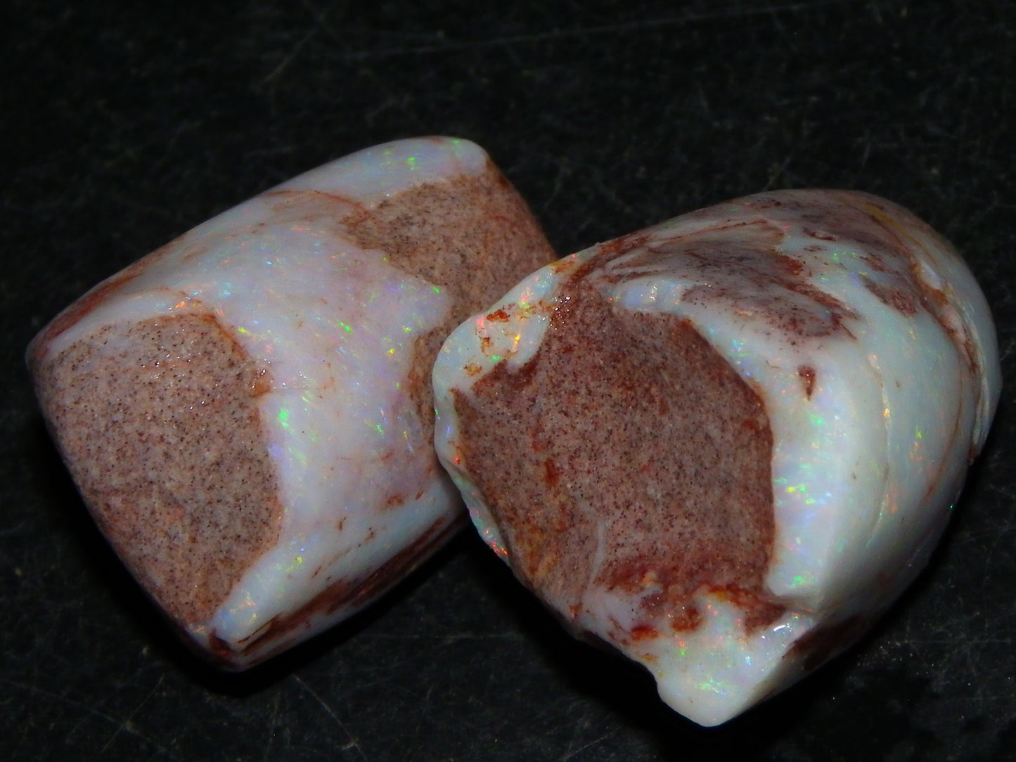 2 Nice Rubbed Coober Pedy Shell Opal Specimens 91cts Multicolour FIres Mussell Shells Australia