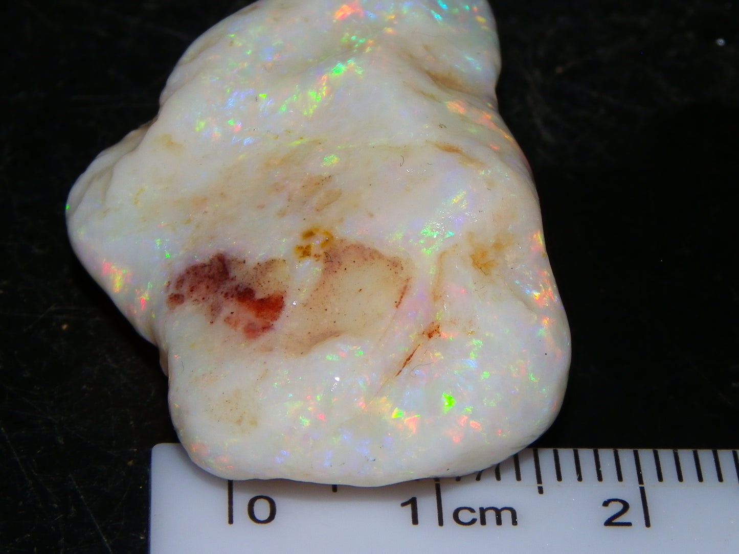 Gem Rough Coober Pedy Opal Stone 55.2cts Multicolour Fires Skin to Skin Collectors