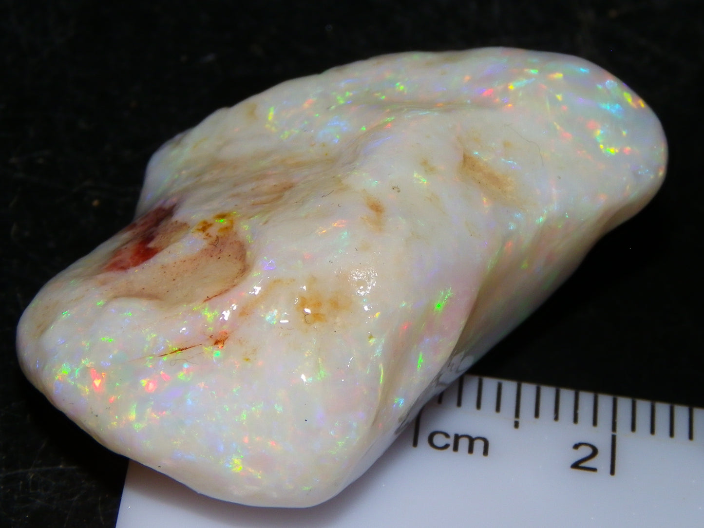 Gem Rough Coober Pedy Opal Stone 55.2cts Multicolour Fires Skin to Skin Collectors