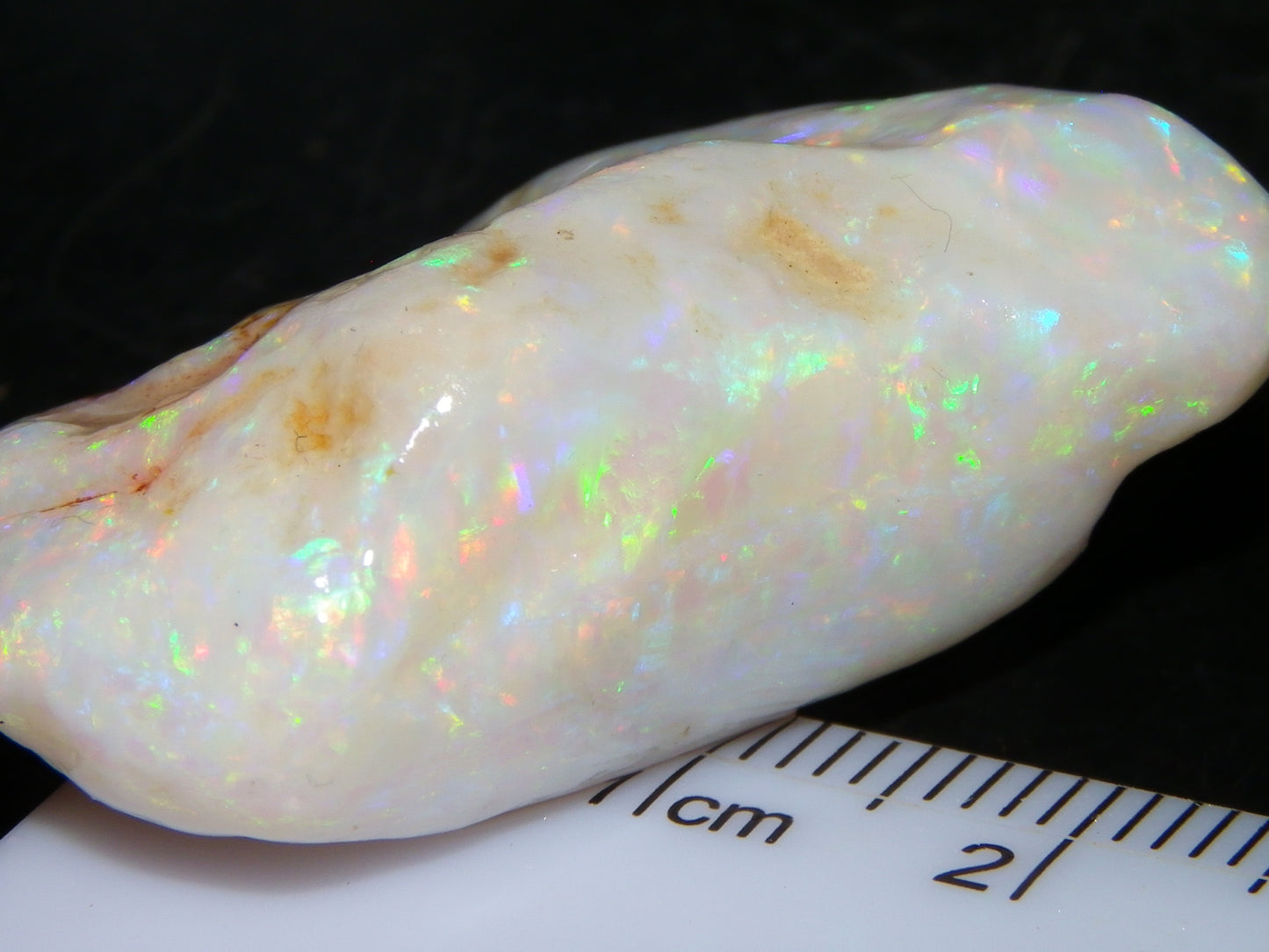 Gem Rough Coober Pedy Opal Stone 55.2cts Multicolour Fires Skin to Skin Collectors