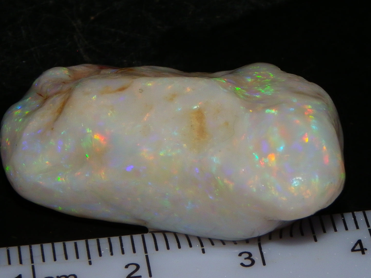Gem Rough Coober Pedy Opal Stone 55.2cts Multicolour Fires Skin to Skin Collectors