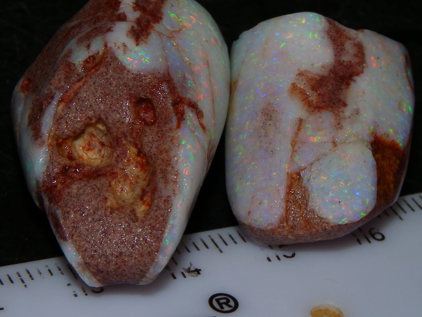 2 Nice Rubbed Coober Pedy Shell Opal Specimens 91cts Multicolour FIres Mussell Shells Australia