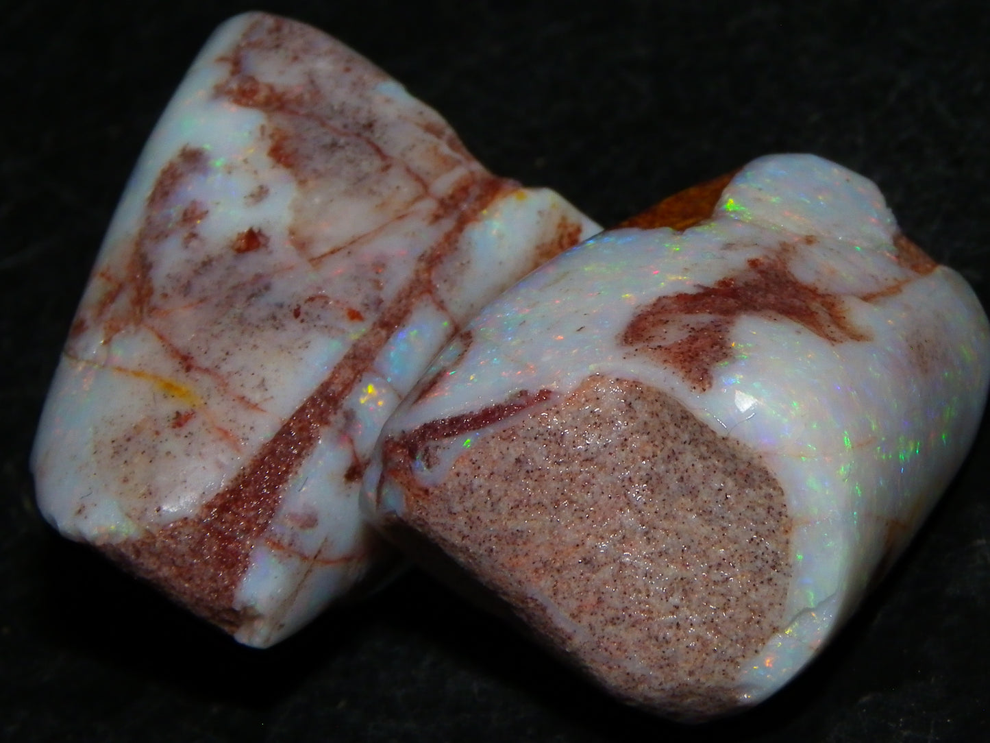 2 Nice Rubbed Coober Pedy Shell Opal Specimens 91cts Multicolour FIres Mussell Shells Australia