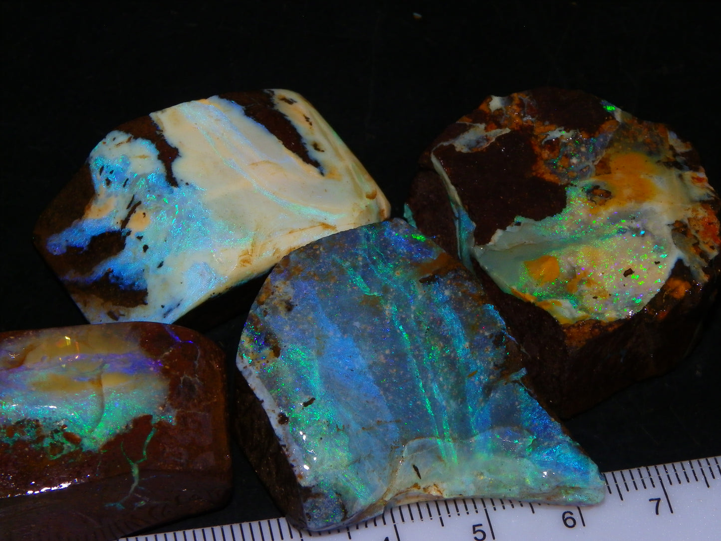 Nice Rough/Sliced/Rubbed Boulder Opal 469cts Winton, Queensland Blue/Greens
